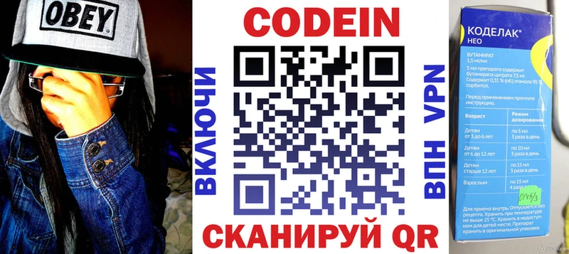 omg ссылка  Салаир  Codein напиток Lean (лин)  купить наркотики цена 