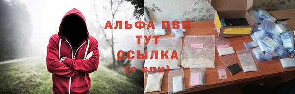 гашик Балахна