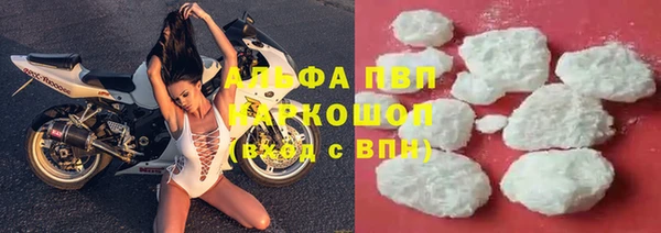 гашик Балахна
