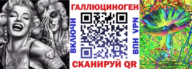 kraken маркетплейс  купить   мориарти формула  Галлюциногенные грибы мухоморы  Салаир 