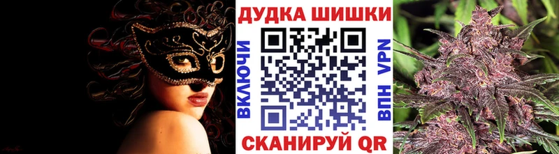 Бошки Шишки планчик mega tor Салаир купить закладку
